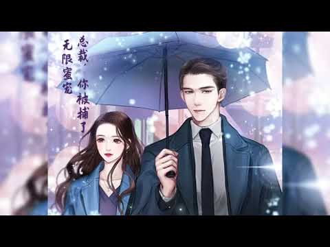 言情小说封面