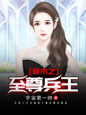 都市小说封面